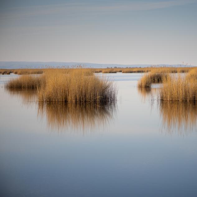 Neusiedler See